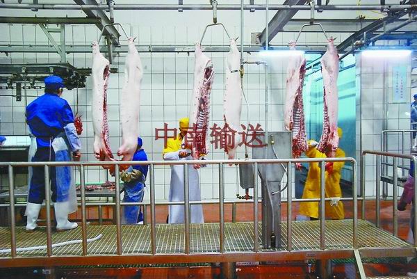 1546055721806115.jpg plpro20170228110315tpcau.jpg