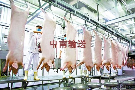 豬管軌屠宰生產(chǎn)線 豬管軌屠宰生產(chǎn)線
